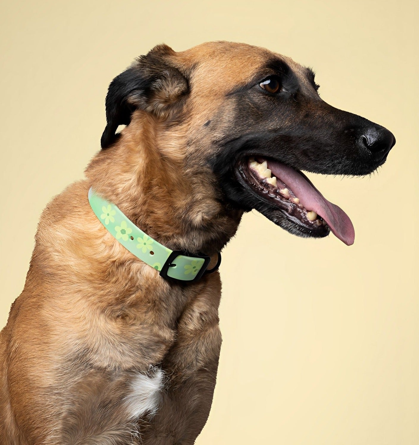 Vintage Green Flower Dog Collar